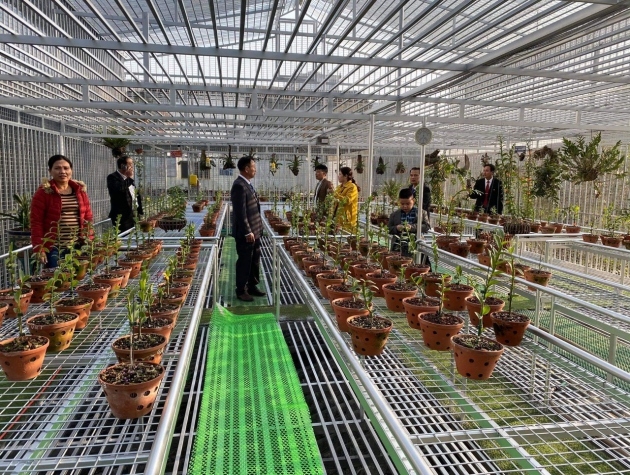 Nguyễn Văn Dương: Người đổi đời từ thợ mộc nghèo thành tỷ phú hoa lan ở Hà Nội